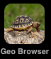 Geo Browser